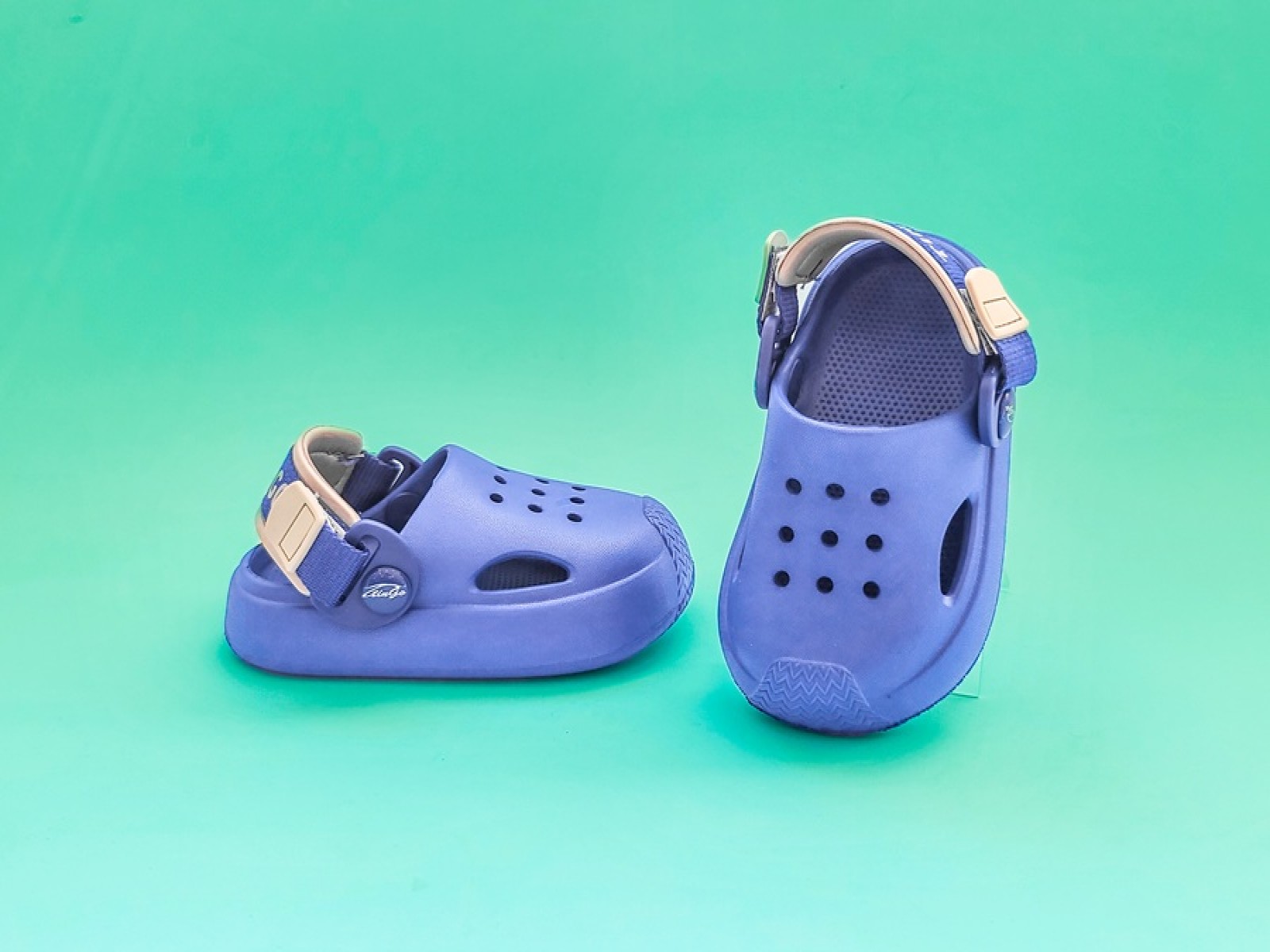 ծովային հողաթափ